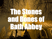 The Stones and Bones of Bath Abbey